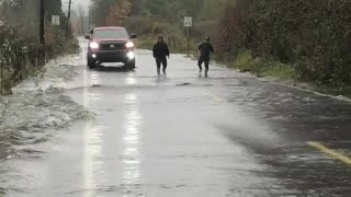 Salmon cross flooded road in Washington state  FOX 13 Seattle [upl. by Block]