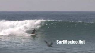 SurfMexicoNet  San Pancho [upl. by Lucie694]