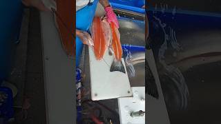 fastest salmon cutter 😱 shorts fishcutting skills satisfying sashimi [upl. by Grevera]