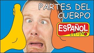 Partes del cuerpo para niños  Cuentos Infantiles para dormir Aprender con Steve and Maggie Español [upl. by Danila615]