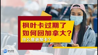 【回国】什么是返加卡？在海外枫叶卡过期了如何回加拿大   Permanent Resident Travel Document  多咨处（S2 Consulting） 加拿大🇨🇦 [upl. by Gustie]