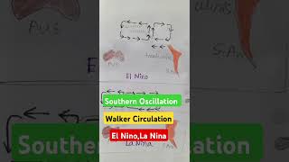 Southern Oscillation Walker Circulation amp El Nino La NinaClimatologyviralvideo shorts short [upl. by Howlend665]