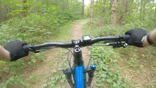 New Fane Mountain Bike Trail in Wisconsin 9242020 4k60 on Salsa Bucksaw [upl. by Ahsurej]