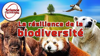 La résilience de la biodiversité  Science En Questions [upl. by Ramahs676]