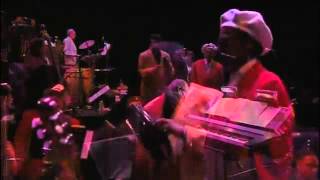 Afro Cuban All Stars  Amor Verdadero  Absolutely Live by Lucas Vazquez [upl. by Akiemahs]