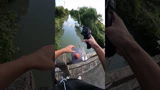 Learn carefully how to set up and fishing by automatic fishing rod and reelfishinggear fishing [upl. by Thormora49]