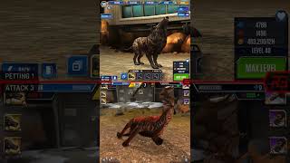 HYAENODON ALL EVOLUTION amp HYAENODON ALL ANIMATION  Jurassic World The Game [upl. by Oicaro]