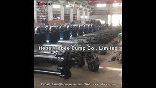 100RVSPR Rubber Lined Vertical Slurry Pumps [upl. by Aohk688]