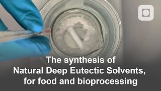 The synthesis of Natural Deep Eutectic Solvents for food and bioprocessing  Bachelors thesis [upl. by Claiborne]