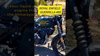 Royal Enfield GUERRILLA 450 Launching in July  Liquid cooled engine  royalenfield enfield [upl. by Weismann]