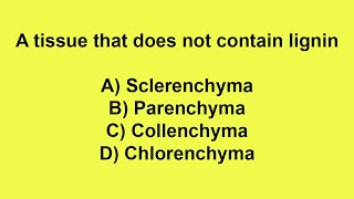 A tissue that does not contain lignin [upl. by Sloatman]