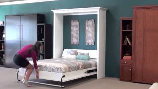 Wall Beds Murphy Wall Beds San Diego 1 [upl. by Frasier]