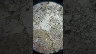 staurolite mineral under microscope shorts mineralogy microscope [upl. by Milka]