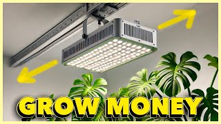 Grow LIGHT MOVERS save you BIG [upl. by Heintz57]