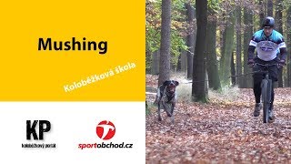 Koloběžková škola  mushing neboli psí spřežení [upl. by Enillebyam]