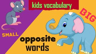 Opposite Words✨learning about oppositeskids vocabulary ✨ [upl. by Ahsinnor]