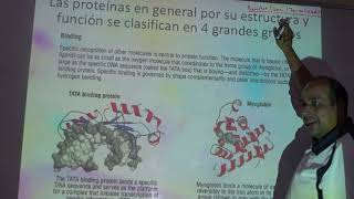 Estructura terciaria de proteínas parte 2 [upl. by Tolmach]