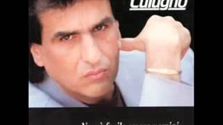 E Se Questo Non è Amore Toto Cutugno [upl. by Ahtela]