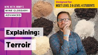 WSET Level 3 and WSET Level 4 WSET Diploma Explaining Wine Terminology  Terroir [upl. by Ham]