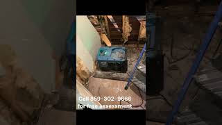 For mold remediation in Cherryville North Carolina call 8593029666 [upl. by Garibald]