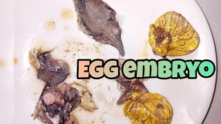 Cracking egg embyo balut egg asmr [upl. by Gluck275]