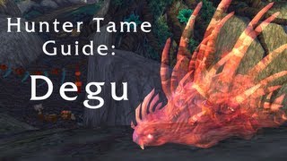 Hunter pet tame guide Degu [upl. by Runkle894]