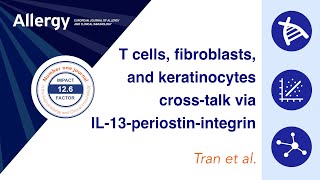 T cellfibroblastkeratinocyte axis via IL13periostinintegrin in atopic dermatitis [upl. by Hotchkiss]