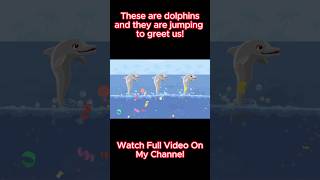 These are dolphins and they are jumping to greet us childrenseducation kidssongs kidslearning [upl. by Besse]