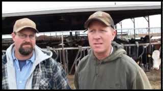 The benefits of crossbreeding dairy cattle ProCross Dairy  Jack and Kurt Hoekstra OakdaleCA [upl. by Grati]