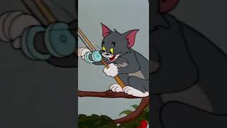 Mierendiefstal  Tom and Jerry  Cartoon Network Shorts [upl. by Feodor]