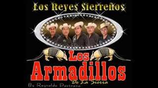 Los Armadillos De La Sierra 2014  A Quien Quiero Engañar version 2014 AUDIO [upl. by Netsirhk354]