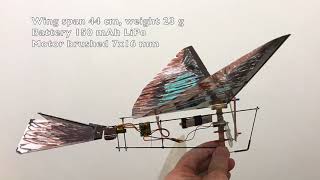 RC ornithopter Australian kookaburra beautiful flight in calm morning [upl. by Arnulfo]