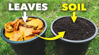 The Clever Way Smart Gardeners Make Amazing Soil [upl. by Ammann]