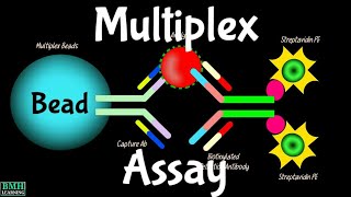 Multiplex Assay  Multiplex Immunoassay Technology [upl. by Andrew]