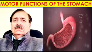 MOTOR FUNCTIONS OF THE STOMACH Lectures by Dr Alamzeb [upl. by Natsirhc]