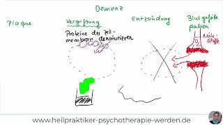 Heilpraktiker Psychotherapie Erklärvideo Demenz [upl. by Braunstein]