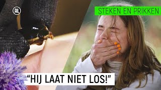 EMMA WORDT GEBETEN DOOR WATERROOFKEVER  Steken en Prikken 4  NPO Zapp [upl. by Gelb]