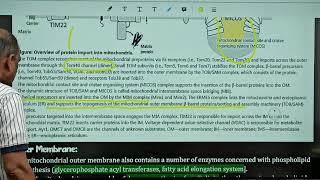 माइटोकॉन्ड्रिया और झिल्ली amp Mitochondria amp Membranes CSIR NET Lifescience by Harcharan Sir [upl. by Aurie210]