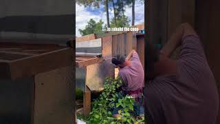 Part 3  Building the chicken coop on Labor Day after a morning walk with family chicken diy [upl. by Notsirb]