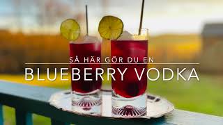 Blueberry Vodka – enkel vodkadrink [upl. by Aelat997]