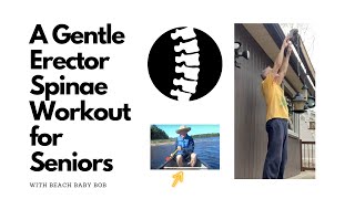 A Gentle Erector Spinae Workout for Seniors [upl. by Erdnoed597]