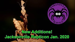 New Additions Jacksonville FL Repticon Jan 2020 [upl. by Howenstein]