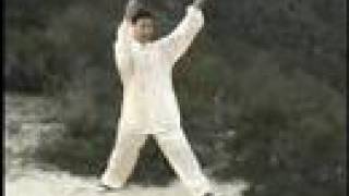 Qigong Chi Kung Five 5 Animal Frolics [upl. by Laforge]