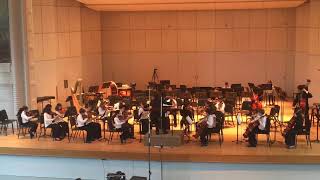 Marche Militaire  Schubert  NYS Prelude Orchestra [upl. by Riabuz486]