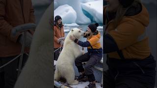 Polar Bears Heartwarming Rescue polarbearrescue wildlifeconservation arcticanimals [upl. by Denison79]