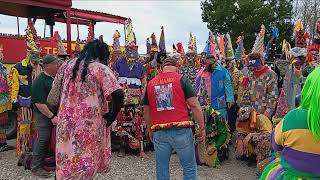 Tee Mamou Mardi Gras at Trappers Bar 2023 [upl. by Lonyer]