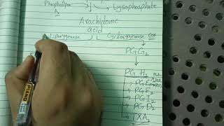 Arachidonic Acid amp Eicosanoids in HindiUrdu [upl. by Spiers]