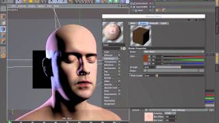 Tip  88 New Subsurface Scattering in Cinema 4D R13 [upl. by Morton]