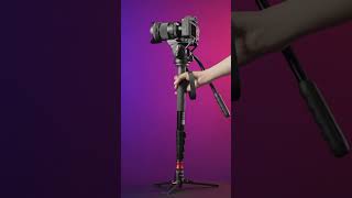 NEEWER 179cm GM76 Professional Camera Monopod With Fluid Head [upl. by Ozzy205]