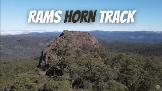 4WD TRACK to Rams Horn  Alpine National Park Victoria [upl. by Gassman]